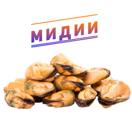 Мидии (5)