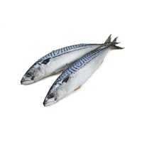 Скумбрия свежемороженая крупная 